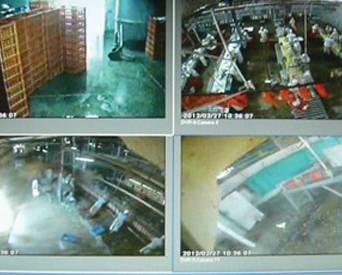 Virtual inspection, management in poultry processing plant ...