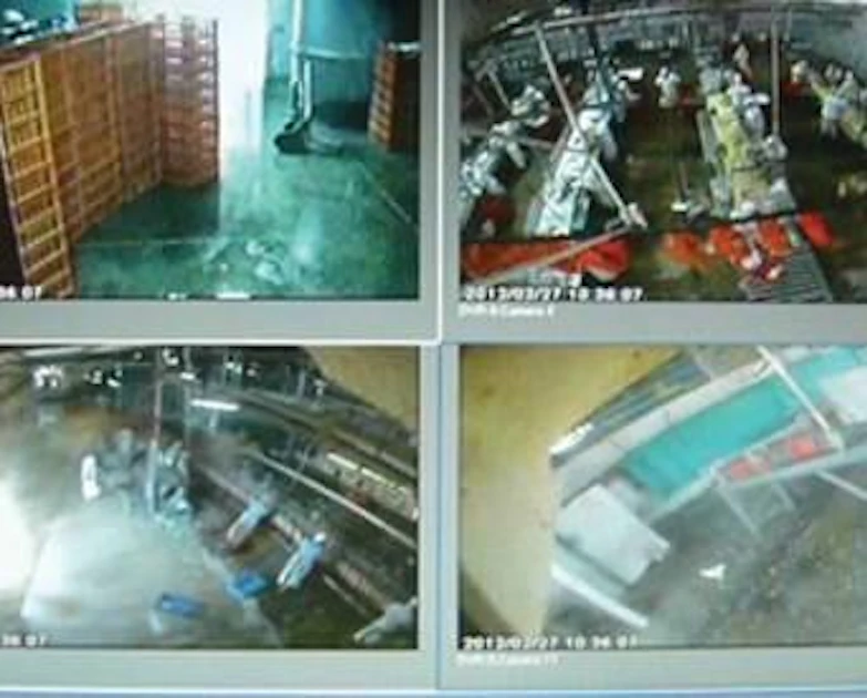 Visual Inspection Broiler House Clean Check Virtual inspection, management in poultry processing plant ...