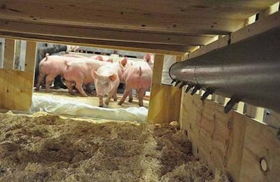 RA-SE Genetics | A shipment of 40 breeding pigs from RA-SE Genetics is being sent from Belgium to Colombia.