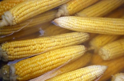 Corn 1000
