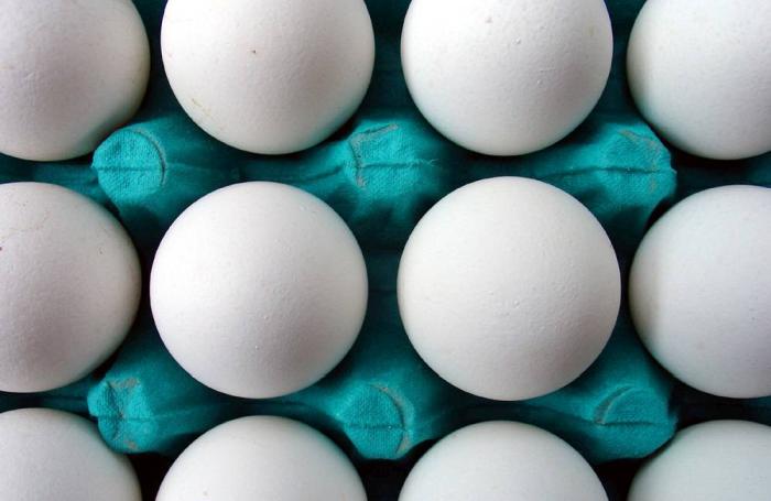 FREEIMAGES.COM | Eduardo Mota Silva