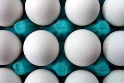 FREEIMAGES.COM | Eduardo Mota Silva