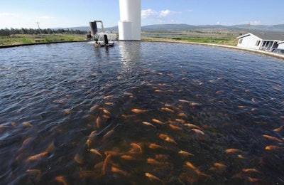 Feed management in aquaculture farm