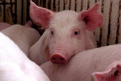 Freeimages.com/Karel Chrien