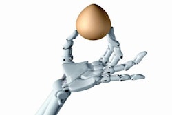 (Paul Fleet | bigstockphoto.com)