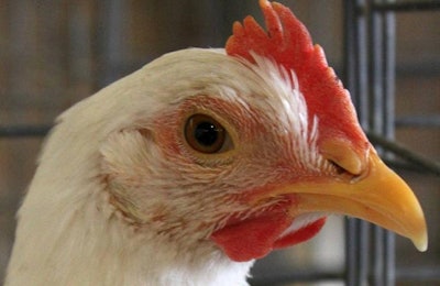 Avian Influenza Iowa Quarantines1