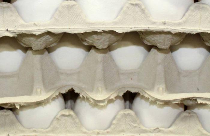 Photo by Andrea Gantz