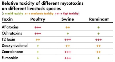 Mycotoxin Toxicity 1512 P Imycotoxinpoultry11