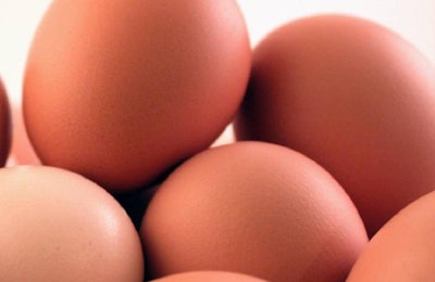 Caribou Einstein Eggs