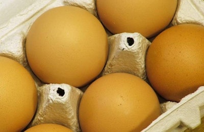 Grupo Bimbo's recent announcement to begin sourcing cage-free eggs came as a surprise to many. | Slawa Gu, Freeimages.com