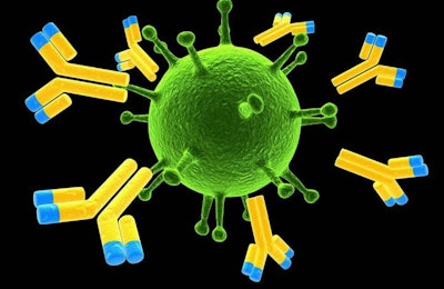Antibodies work by blocking and tagging pathogens. | Sebastian Kaulitzki, Dreamstime.com