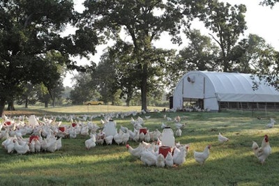 Vital Farms' hens are raised with access to the outdoors and each given 180 square feet of pasture. (Vital Farms)