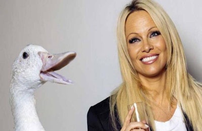 Pam Anderson With Bird