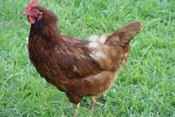 Kate Childers, Freeimages.com