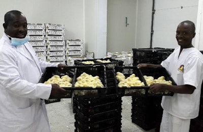 Hybrid Poultry Farm has opened a new Cobb parent hatchery at its farm at Kabwe, Zambia. | Cobb