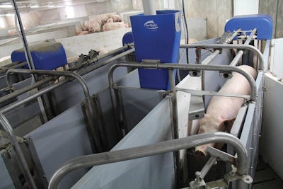 Decisions on what materials to buy for your electronic sow feeding system will determine cost and management into the future.