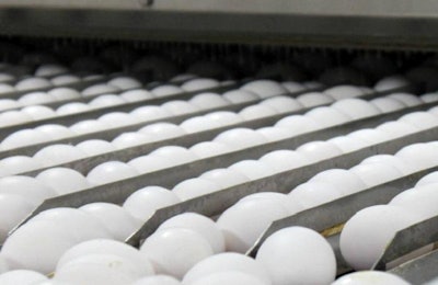 Iowa egg production is bouncing back after the avian influenza outbreak of 2015. | Andrea Gantz