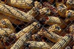 magicmimi, BigStock.com