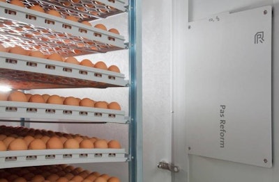 Debido a que la cáscara de huevo es poroso y es mucho menor la concentración de CO2 en el ambiente, éste se difunde fuera del huevo | Foto cortesía de Pas Reform