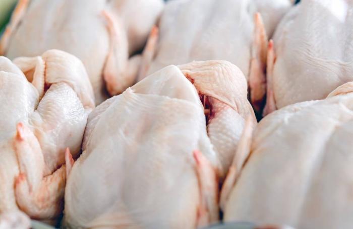 UK market opens up to omega 3 chicken WATTAgNet WATTPoultry