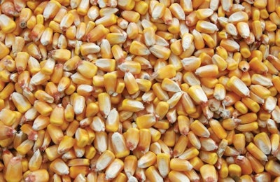 Buyers should have a plan in place for buying feed grains before the summer volatilty. | Bigstock