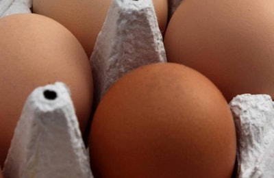 Rembrandt Foods is building a cage-free egg facility in Lake Preston, South Dakota. | Andrea Gantz