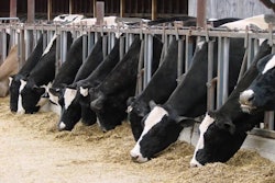 ne_fall_photos | Bigstockphotos.com