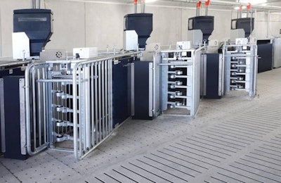 Electronic sow feeding allows individual feeding of sows within groups. | Nedap
