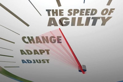 Agility is a key efficiency driver for organizations and pigs.