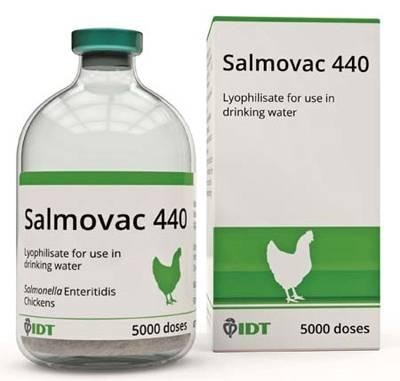 IDT-Biologika-Salmovac-440-Salmonella-vaccine-for-chickens