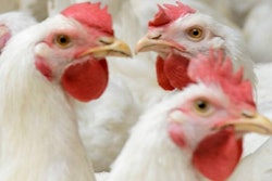 Yurii Bukhanovskyi, Bigstock