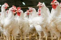 Yurii Bukhanovskyi, Bigstock