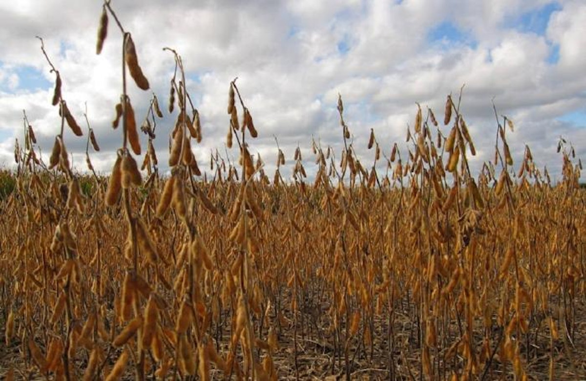 3 facts about US wheat, corn, soybean production | WATTAgNet ...