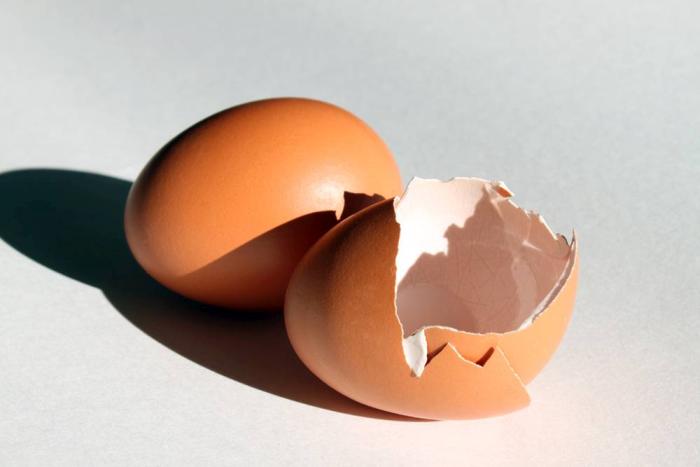 What to do when eggs break too easily | WATTAgNet | WATTPoultry.com