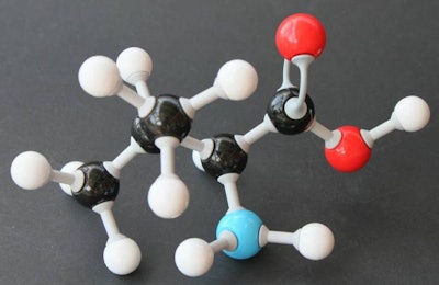 A model of the L-valine molecule | Bin im Garten | Wikimedia Commons