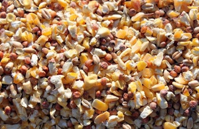 Animal Feed Scratch Grains