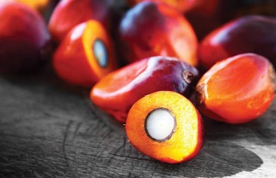 Palm oil is the world’s most widely produced oil. Growing global demand has increased the supply of its by-product, palm kernel cake, for use in animal feed. | GOPDC