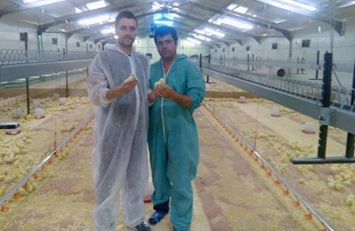 Aviagen Kft has delivered its first shipment of Ross chicks to Albania. | Aviagen