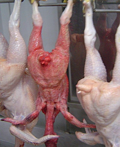 When birds are not properly bled, they will have a reddened appearance.