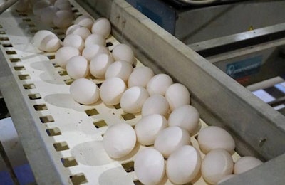 Siguen dándose anuncios del usos de huevos cage free y no hay una posición al respecto por parte de la industria. | Photo by Austin Alonzo