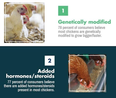 6 Most Common Consumer Misconceptions About Chickens Main Article Image