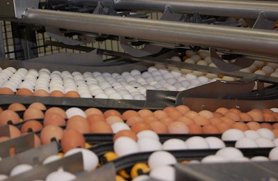 The vast majority of consumers have decided that they aren't willing to pay the premium for cage-free eggs, but how long will they have this choice?