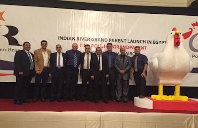 Indian River has been launched in Egypt through a new distributor agreement with Tiba Poultry Grandparents. | Aviagen