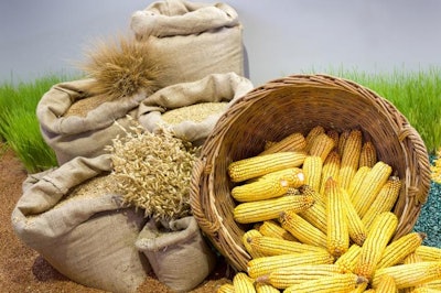 Wheat can successfully replace corn in broiler diets after taking into consideration what makes wheat so different from corn. | budabar, Bigstock