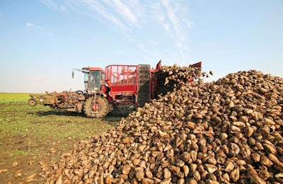 The production of common table sugar from beets leaves behind a valuable animal feed commodity. | Jovan Jaric, Dreamstime.com