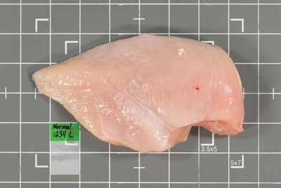 Normal breast fillets free of the woody breast condition exhibit normal hardness and rigidity upon palpation. | Brian Bowker