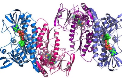 Un ejemplo de la estructura de una proteína. Wikimedia Commons, Matt Howard.