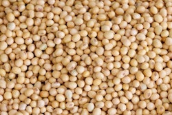 xrayphoto | Bigstock.com