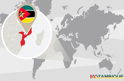 A poultry project in Mozambique is drawing interest from other nations. | BOLDG, Bigstock
