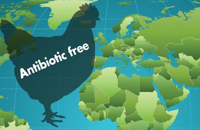 Antibiotic Free Chieckn 1701 P Itoddsoutherland1
